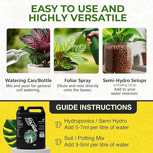 Growth Technology GT Foliage Focus – Liquid Indoor Plant Food Nutrient for Houseplants, Tropical Plants, Aroids, Ferns & Palms – Concentrated Formula for Vibrant Leaves & Dense Foliage – 5 Liters