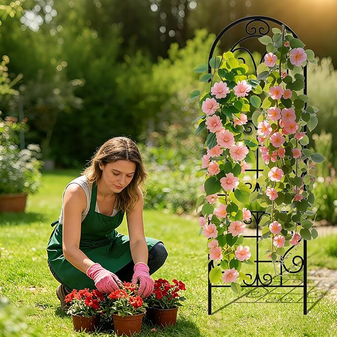 Garden Trellis for Climbing Plants, 3 Pack 38" Wx 64.6" H Rustproof Flower Trellis with Black Coating, Outdoor Climbing Rose Trellis Cucumbers Support for Courtyards Lawns (Curved Shape, 3 Pieces)