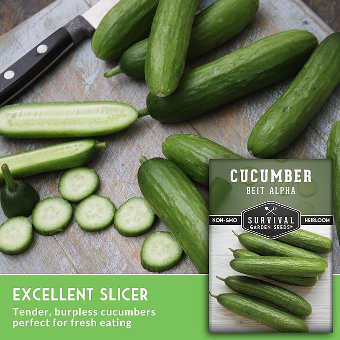 Beit Alpha Cucumber Seeds for Planting | Crisp Burpless Variety with Smooth Skin – Heirloom, Non‑GMO – Survival Garden Seeds (5 Packs)