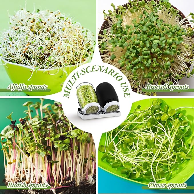 LemonRoad 18 Pcs Seed Sprouting Kit with 4 1000 ml Mason Jars and Blackout Sleeve, 4 Separate Bracket 316 Stainless Steel Screen, 2 Drain Tray Grow Organic Broccoli, Alfalfa, Mung Bean Sprouts