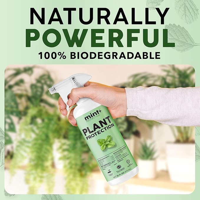 Mint+ Plant Protection Spray, Insect & Pest Control for Indoor & Outdoor Plants, 16 oz (475mL)