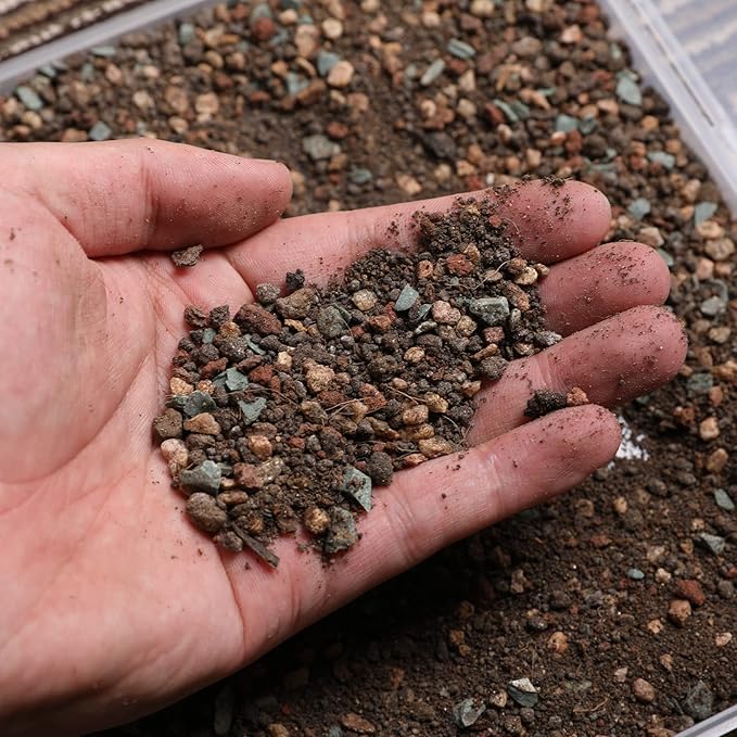 Doter Succulent and Cactus Soil Potting Mix 5.5 LBS, Bonsai Soil Mix Ready to Use, Fast Draining with Added Nutrients