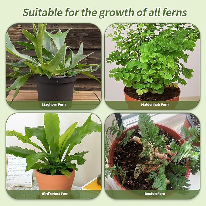 Doter Potting Soil Mix for Fern 4qt, Custom Hand Blended Mixture Suitable for Indoor/Outdoor Potted Fern Plant