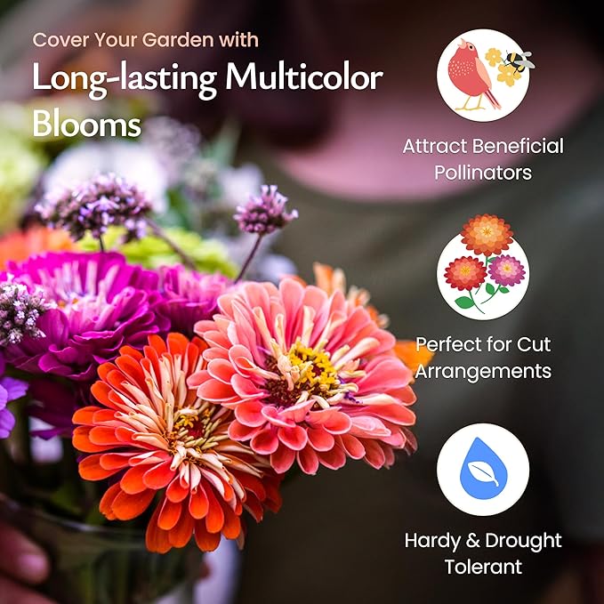 Created By Nature California Giant Zinnia Wildflower Seeds, Multi-Colored Flower Varieties, 2,200+ Non-GMO Seeds