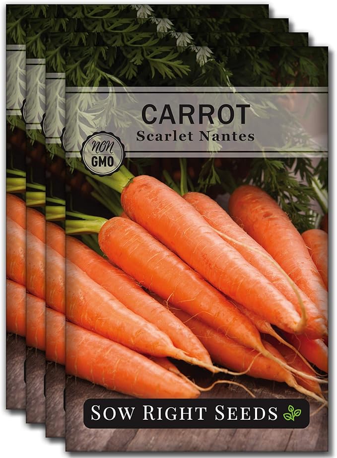 Sow Right Seeds - Scarlet Nantes Carrot Seed for Planting - Non-GMO Heirloom Packet with Instructions to Plant a Home Vegetable Garden - Indoors or Outdoor - Sweet and Vibrant Variety (4)