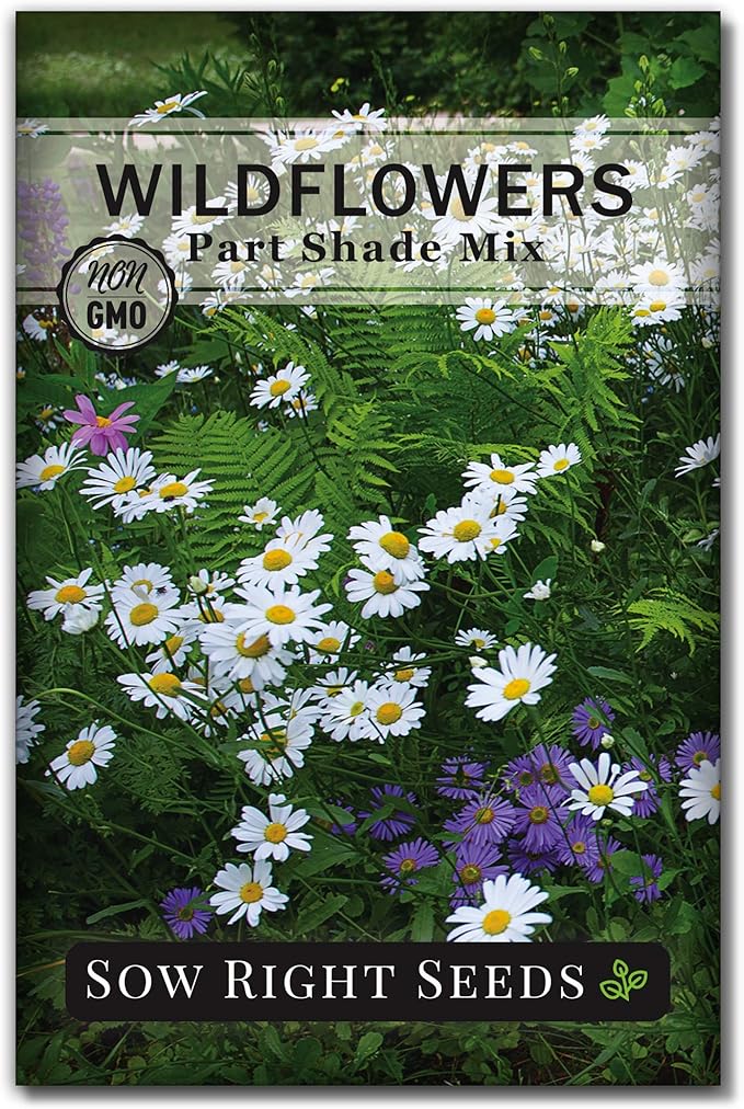 Sow Right Seeds - Wildflowers Seeds Mix for Planting in Partial Shade - Non-GMO Heirloom Varieties to Grow Wild Flower Garden - Perennial & Annual Flowers to Attract Pollinators - Colorful Blooms (1)