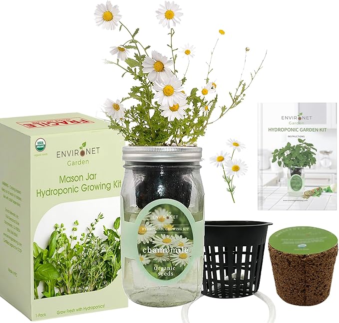 Hydroponic Herb Growing Kit, Self-Watering Mason Jar Herb Garden Starter Kit Indoor, Windowsill Herbs Garden, Grow Your Own Herbs from Organic Seeds (Chamomile)