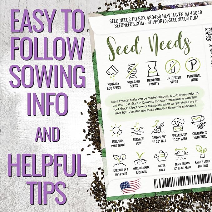 Seed Needs Anise Hyssop Seeds for Planting Agastache foeniculum - Non-GMO Heirloom & Untreated - Grow a Medicinal/Culinary Herb Garden for Tea & Essential Oils (1 Pack)