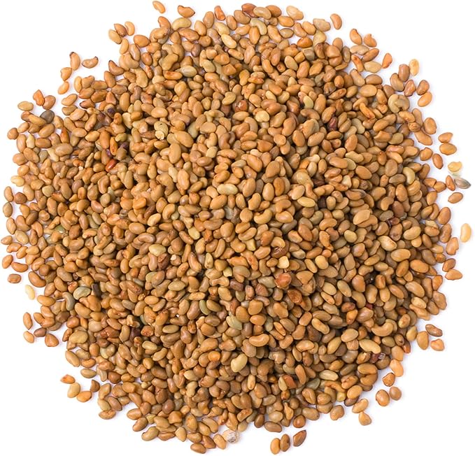 Food to Live Alfalfa Seeds for Sprouting, 8 Ounces – Edible Seeds, Pure, Vegan, Kosher, Bulk. Rich in Vitamin K & C. High Germitation Rate. Grow Sprouts, and Microgreens for Salad, Sandwiches, Rolls.