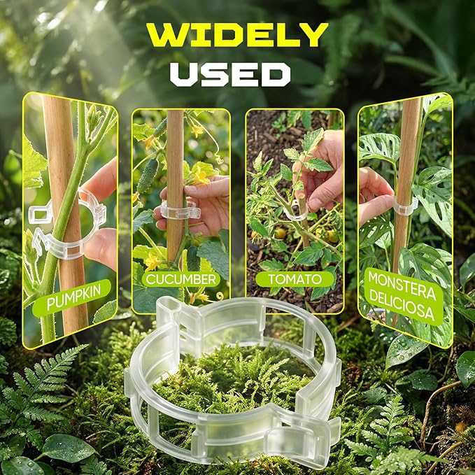 100pcs Tomato Clips for Climbing plants, Plastic Trellis Plant Support Clips for Garden, Reusable Clips for Supporting Grape Tomato Vine and Vegetables Plants to Grow Upright Makes Plants Healthier