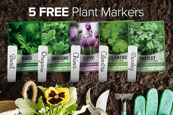 Gardeners Basics Culinary Herb Seeds For Planting Indoors and Outdoors 5 Packets Including Basil, Cilantro, Chives, Oregano, and Parsley - Great for Kitchen Herb Garden Heirloom Seeds