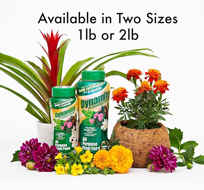 Dynamite 605951 All Purpose Indoor and Outdoor Plant Food, 1-Pound