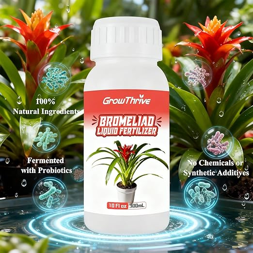 Bromeliad Liquid Fertilizer – 10 oz Organic Plant Food for Bromeliads, Air Plants & Tillandsia | Natural Probiotic Formula, Enhances Leaf Growth, Root Strength & Flower Color