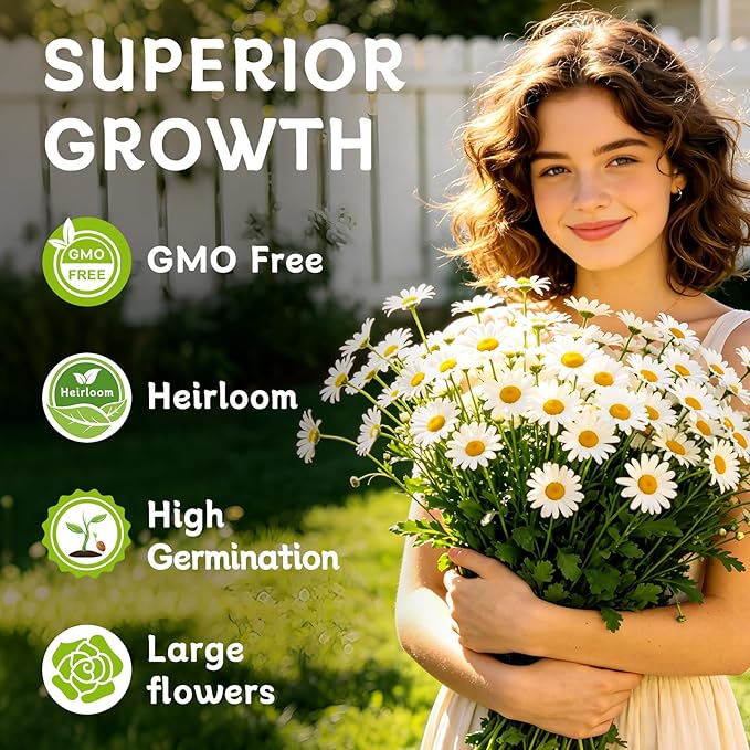 LUOJIBIE German Chamomile Seeds, 30,000+ Chamomile Flower Seeds Bulk for Planting Outdoor Indoor Garden, Heirloom & Non-GMO Matricaria Chamomilla/Recutita Herb Seeds, Easy to Grow