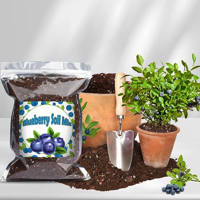 Organic Blueberry Soil Mix, Indoor Plants Potting Mix for All Potted Blueberry, Grow Healthy houseplants Indoors