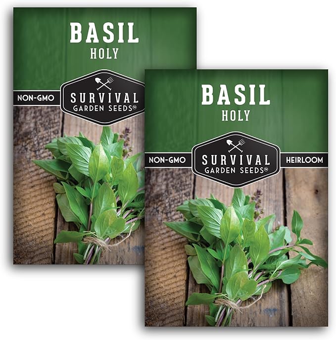 Holy Basil Seed for Planting - Indian Sacred Herb Tulsi Seeds to Grow in Your Home Vegetable Garden - Non-GMO Heirloom Variety - Survival Garden Seeds (2 Packs)