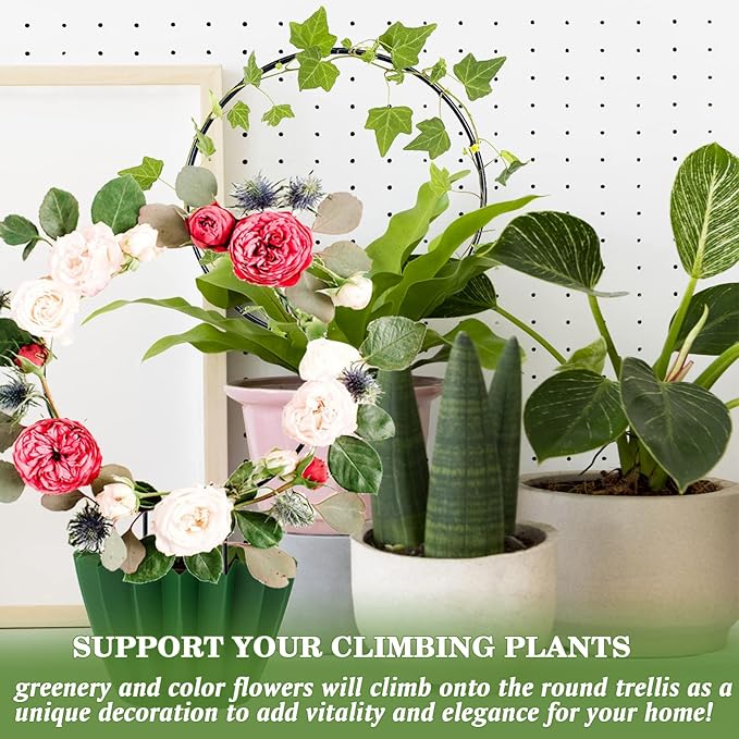 Halatool 4 Pack Black Metal Trellis for Potted Plants, Round Garden Houseplant Hoya Plant Trellis for Climbing Plants Outdoor Garden Trellises with 10 Plant Twist Tie for Vines Potted Plants Flower