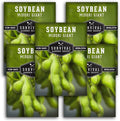 Midori Giant Soybean Seeds for Planting - Grow Protein-Rich Edamame Pods in Your Home Vegetable Garden - Non-GMO Heirloom Soy Bean - Survival Garden Seeds (5 Packs)