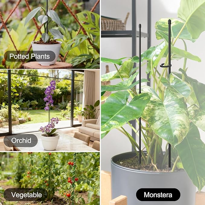 Plant Stakes for Indoor Plants, RIFNY 14 Inch Plant Support Stakes with Clips, Tall Adjustable Plant Sticks for Indoor Monstera Tomato Orchid Potted Plants Flower (16 PCS, Black)