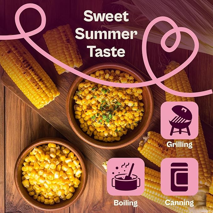 SVI 100 Golden 8 Bantam Corn Seeds (Zea mays) – Yellow Sweet Corn Seed Packets, Early Maturing Maiz – Non GMO Heirloom Vegetable Seeds for Outdoors, Vegetable Garden Rows