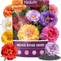 Moss Rose Seeds for Planting, 24,000+ Annual Flower for Ground Cover Flower Seeds, Heirloom Variety, Easy to Grow, Portulaca Seeds to Plant Outdoors Garden Containers