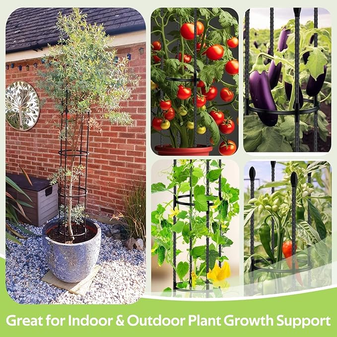 2 Pack Tomato Cages for Garden - Heavy Duty Tomato Trellis for Climbing Plants Outdoor & Indoor - 63 Inch Adjustable Tall Plant Cage & Support Garden Stakes for Pots Vegetables Flowers Fruits Vines