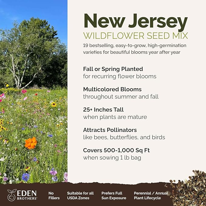 Eden Brothers New Jersey Wildflower Mixed Seeds for Planting, 1 lb, 480,000+ Seeds with Cornflower, Coneflower | Attracts Pollinators, Plant in Spring or Fall, Zones