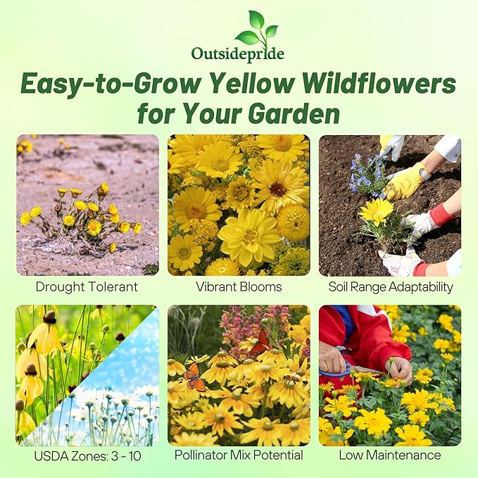 Outsidepride Yellow Color Shades Mix Wildflower Seeds - 5000 Pcs Annual Easy to Grow, Low Maintenance, Self-Seeding Flower Seeds w/Vibrant Blooms for Pollinator-Friendly Gardens, Containers & Borders