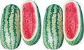 Burpee Georgia Rattlesnake Watermelon Seeds 100 Seeds (Pack of 2)