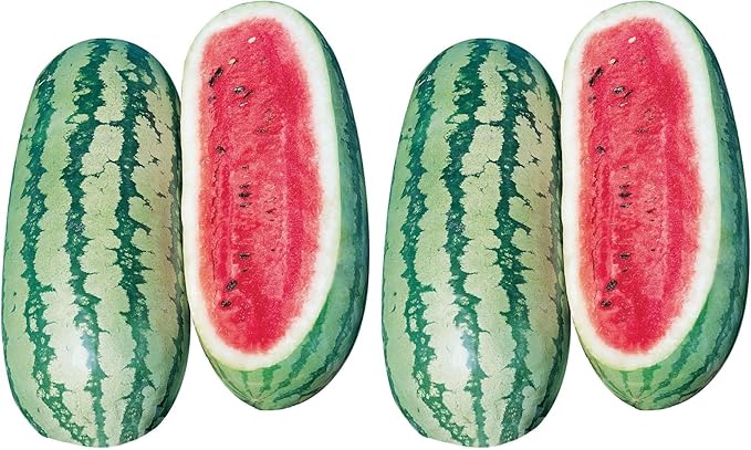 Burpee Georgia Rattlesnake Watermelon Seeds 100 Seeds (Pack of 2)