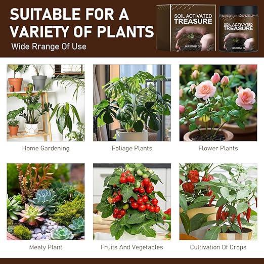 Soil Activator,Soil Pro Activator,Organic Soil Activators and Plant Fertilizers,Liquid Fertilizer for Indoor & Outdoor Plants Premium Soil Activated Treasure for Potting Mix and Seedling Compost(200g)