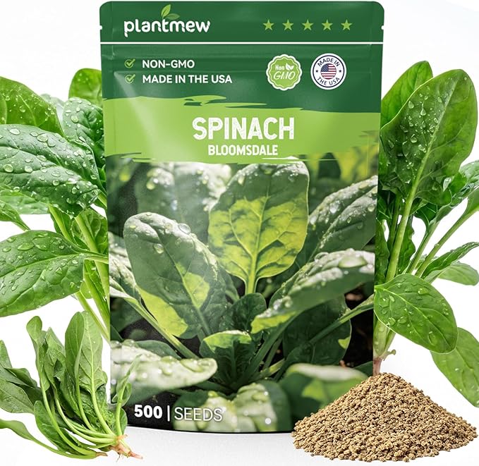 Bloomsdale Spinach Seeds for Planting, 500 Non-GMO Heirloom Seeds — Fast Growing Vegetable Seeds for Spring & Fall Gardens
