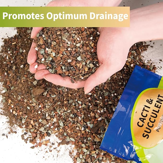 Succulent & Cactus Soil Potting Mix 1qt, Chunky Dirt with Fast Draining Fits for Bonsai, Terrarium and Houseplant