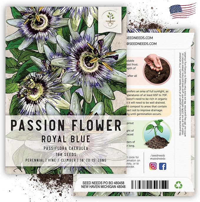 Seed Needs, Royal Blue Passion Flower Seeds - 100 Heirloom Seeds for Planting Passiflora caerulea - Open Pollinated Tropical Vine Produces Exotic Blooms (2 Packs)