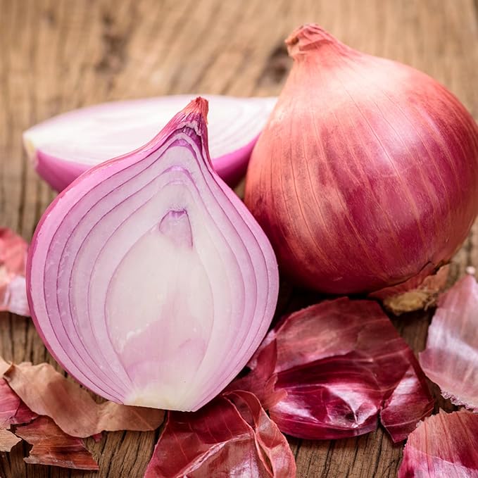 Seed Needs Onion Seeds for Planting Red Burgundy Short Day Onions - Non-GMO Heirloom & Untreated Vegetable Seeds to Plant an Outdoor Home Grown Veggie Garden