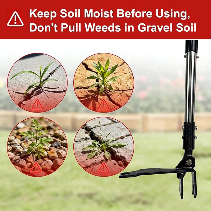 Weed Puller Tool Stand Up Hand Weeder Tool with Adjustable Long Handle, Weed Remover with Steel Head, Remove Weeds Root Easily without Bending, Pulling or Kneeling for Lawn Yard Garden (4 CLAWS)