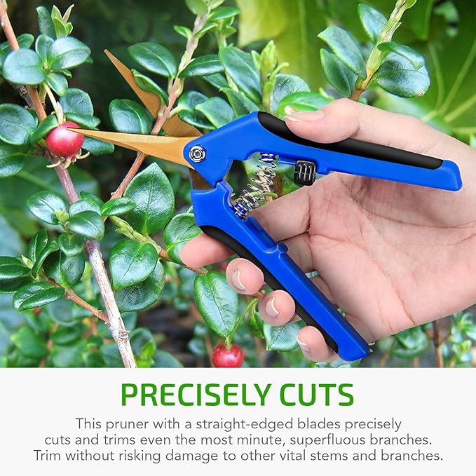 iPower GLPRNR6BLTIX2 2-Pack 6.5” Gardening Hand Pruner Shears with Titanium Coated Curved Precision Blades for Trimming House Plants, Blue