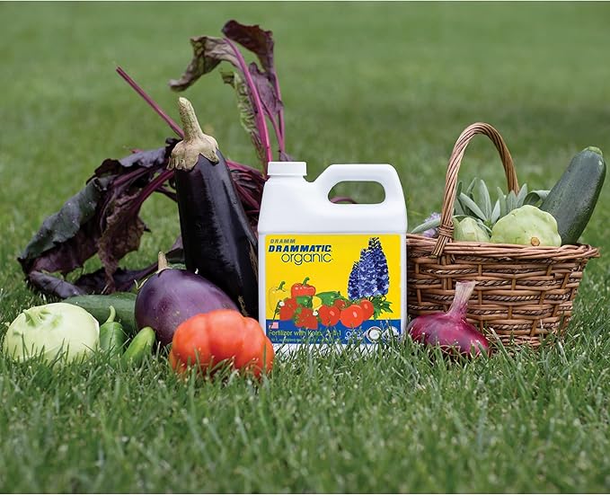 Dramm Drammatic® Organic™ Premium Fertilizer 4-4-1, Hydrolyzed Liquid Fish Fertilizer, for Vegetables, Flowers, and Fruits, 1 Gallon, OMRI Listed, 1 Gallon