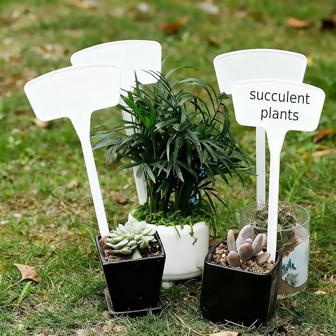 100pcs Plastic Plant Labels, BetterJonny 7.9''/20cm Large T-Style Plastic Plant Labels Waterproof | Durable Garden Markers for Outdoor Seedlings & Nursery