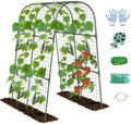 Cucumber Trellis, Metal Garden Arch Trellis for Raised Bed, 32 x 48inch U-Shape Garden Trellis for Climbing Plants Outdoor, Vegetables Fruit Plant Support with Netting, Gardening Supplies (Green)