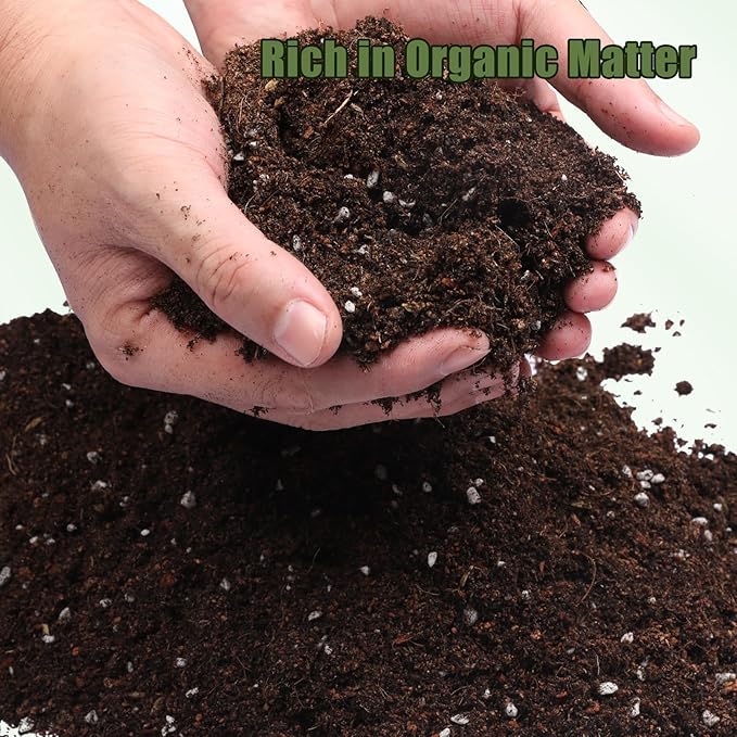 Potting Soil Mix for Fern 1qt, Custom Hand Blended Mixture Suitable for Indoor/Outdoor Potted Fern Plant