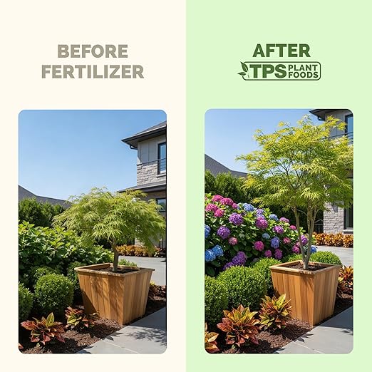 Plant Food Outdoor – Liquid Plant Fertilizer for All Plants, Vigorous Growth & Strong Roots, 32 oz