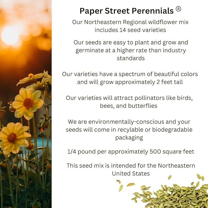 Northeast Regional Bulk Perennial Wildflower Seed Mix 1/4lb Covers 500sq-ft - Attract Pollinators, Multi-Color Blooms - Northeast US Species Plant in Spring/Fall - Earth-Friendly Packaging (1/4 Pound)
