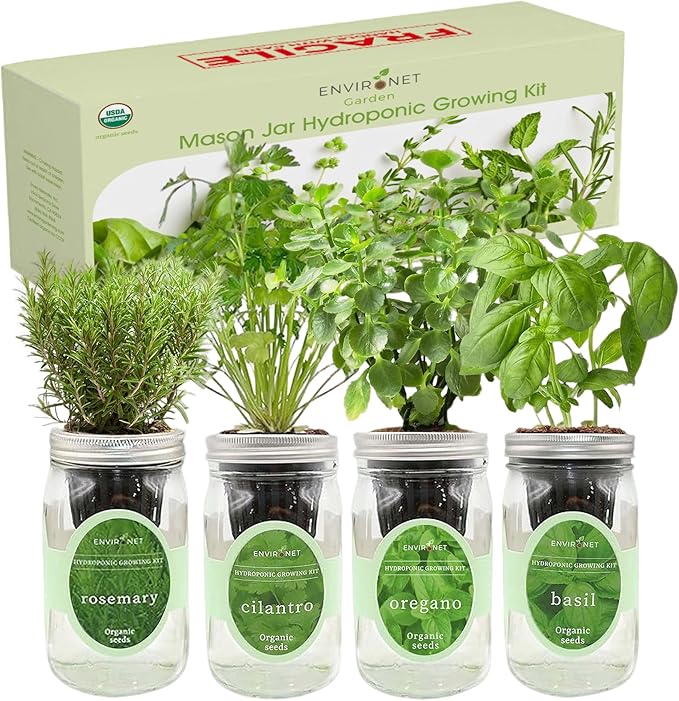 Hydroponic Mason Jar Organic Herb Seed Starter Kits - Mediterranean Herb Mix Growing Kits, Windowsill Herb Garden, Gardening Gift (Rosemary, Cilantro, Oregano, Basil)