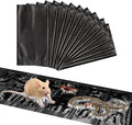 Mouse Traps Indoor for Home, Sticky Rat Trap Glue Boards (Large 6P)