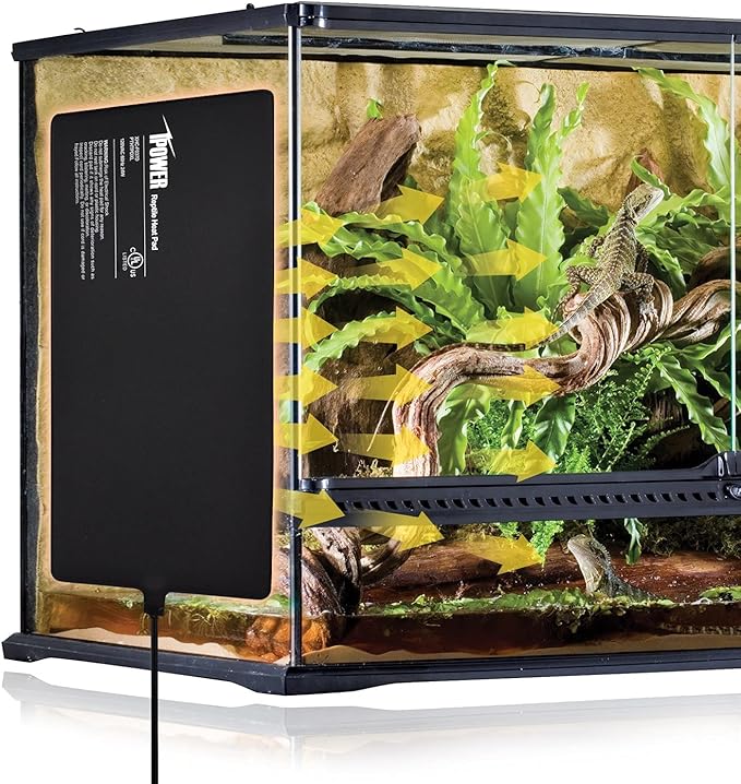 iPower 8X18 Inch Reptile Heat Pad Under Tank Heater Terrarium Warmer Heating Mat and Digital Thermostat Controller for Turtles Lizards Frogs and Other Small Animals