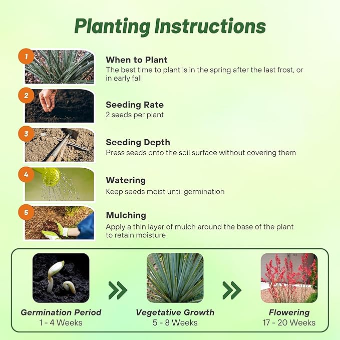 Outsidepride Red Yucca Seeds for Planting - 25 Pcs Drought Tolerant Flower Seeds with Evergreen Foliage & Pollinator-Friendly Flowers, for Xeriscaping, Dry or Sandy Landscapes