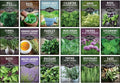 Culinary Herb Seeds Variety Pack for Planting - Grow 18 Heirloom Kitchen Herbs with Basil, Cilantro, Parsley, Dill, Chives, Oregano, Sage, Rosemary, Mint - Indoor or Outdoor - Survival Garden Seeds