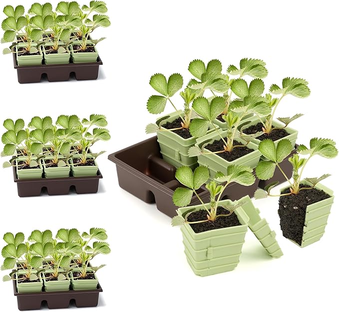 Side-Open Seed Starter Tray 8-Pack, 48 Cells Modular Design with Detachable Plant Cells, Extra-Large 2.36"x2.28" Cells, Reusable Seed Germination Kit for Indoor & Outdoor Gardening