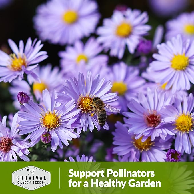 5 Packs Bee Pollinator Mix Seed for Planting - Packet with Instructions to Grow Annual & Perennial Flowers to Feed Bees in Your Home Garden - Non-GMO Heirloom Varieties - Survival Garden Seeds